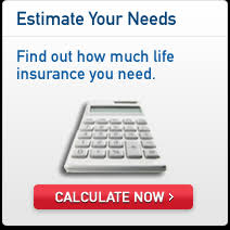 Life Insurance Calculator Free Download-Winpcsoft.com