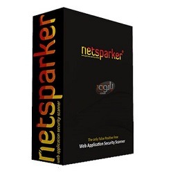 Netsparker Professional 4.8 Free Download-Winpcsoft.com