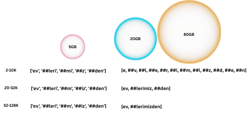 Optimal Turkish Subword Strategies II: What WordPiece Learns from Turkish Morphology-Winpcsoft.com